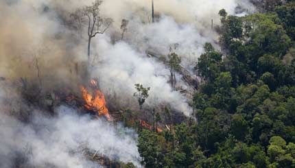 Braziliaans leger voert acties in Mato Grosso