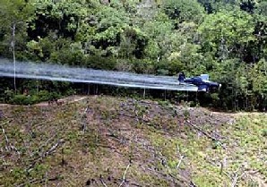 Ecuador woest op Colombia na gifwolken