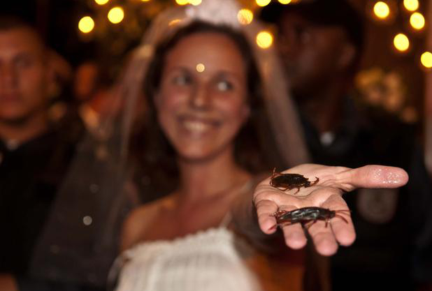 huwelijk-barata-protest-kakkerlakken