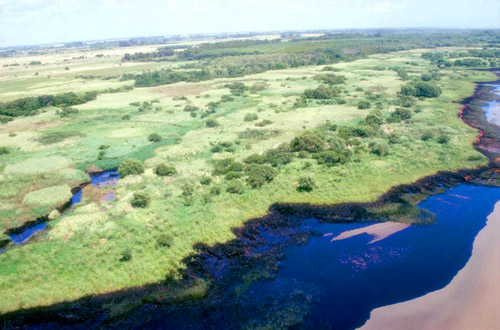 petroleo-costa-magdalena-argentina